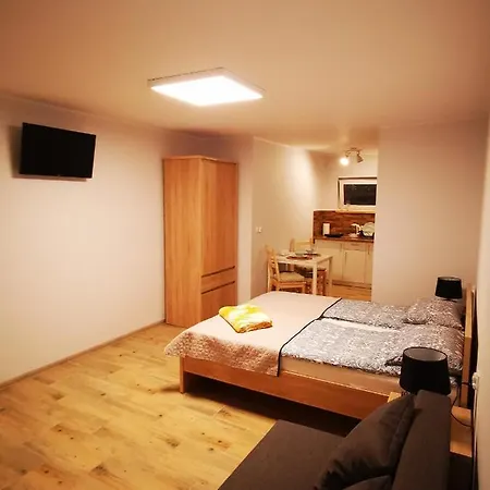 Gościnne Olesia Apartament *