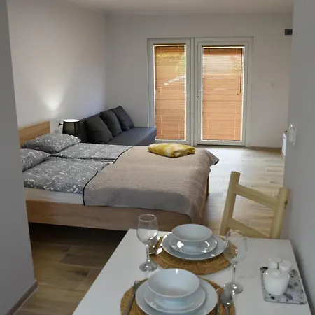 Gościnne Olesia Apartament *
